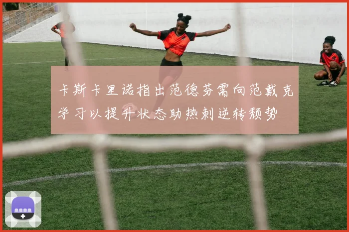 卡斯卡里诺指出范德芬需向范戴克学习以提升状态助热刺逆转颓势